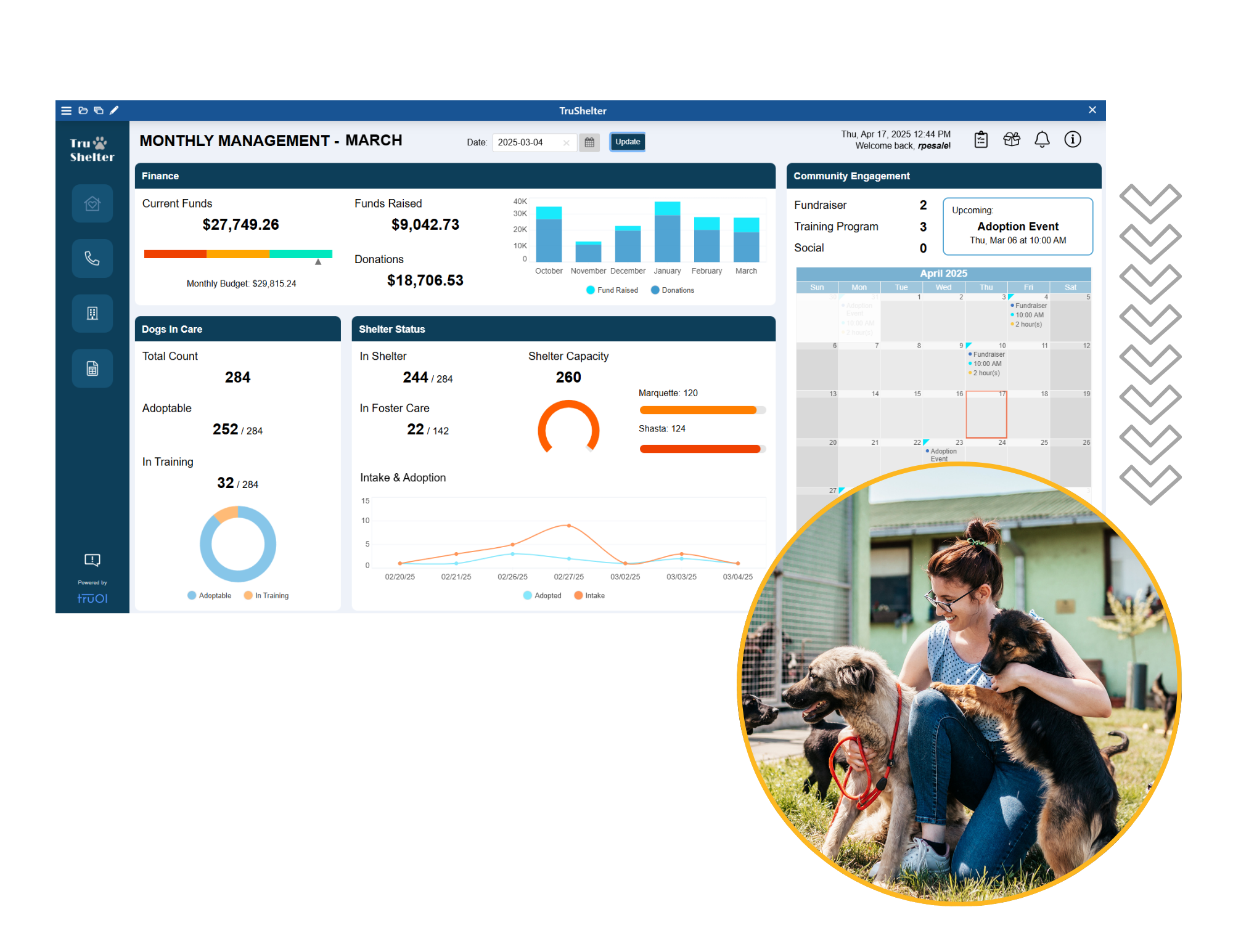 %BI Dashboards Reports Scorecards%